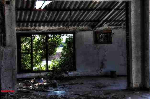 IMG_5590_1_2_tonemapped