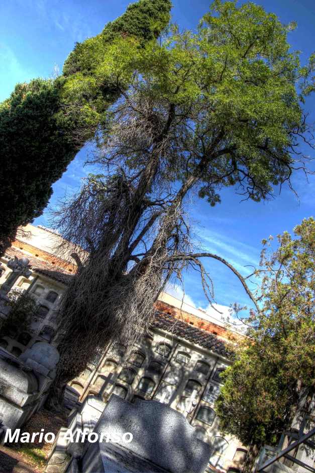 IMG_6486_7_8_tonemapped