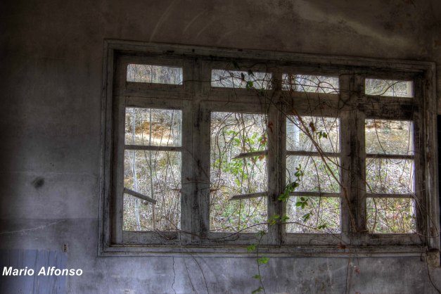 IMG_9871_2_3_tonemapped_2