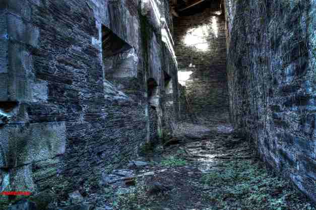 IMG_5019_20_21_tonemapped