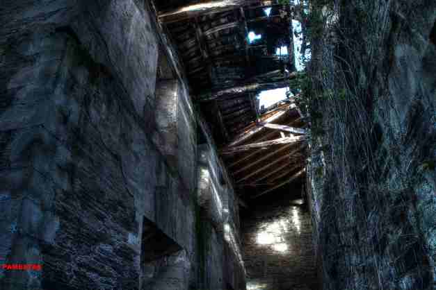 IMG_5022_3_4_tonemapped