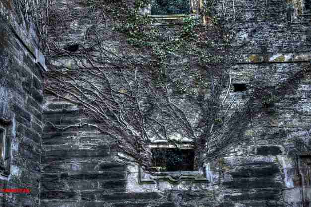 IMG_5040_1_2_tonemapped