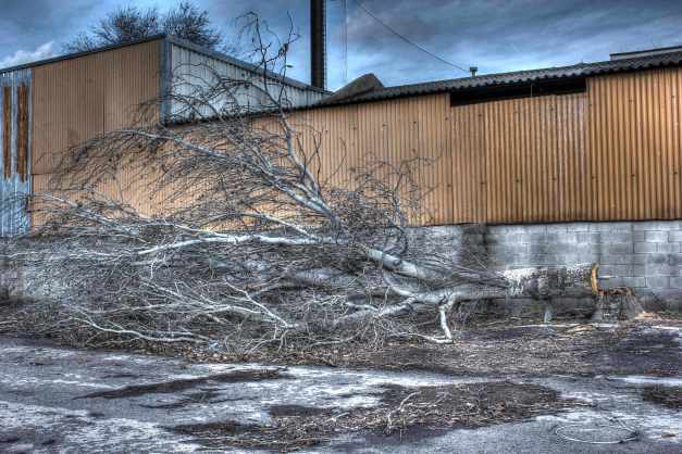 IMG_5211_2_3_tonemapped