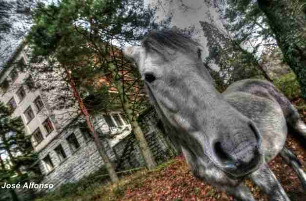 IMG_3536_7_8_fused_tonemapped