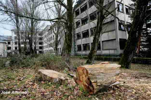 IMG_3560_1_2_tonemapped