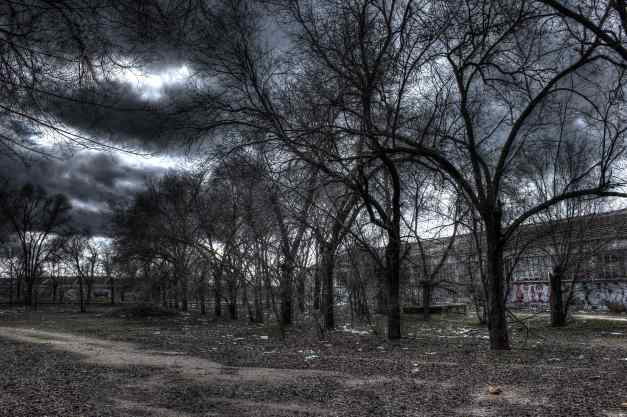 IMG_5970_1_2_tonemapped