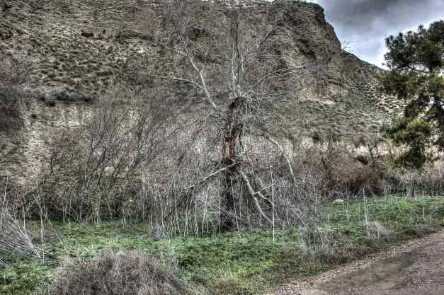 IMG_6078_79_80_tonemapped