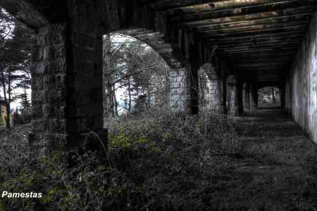 IMG_6640_1_2_tonemapped