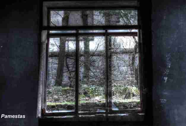 IMG_6703_4_5_tonemapped