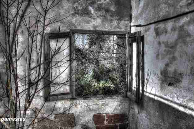 IMG_7922_3_4_tonemapped