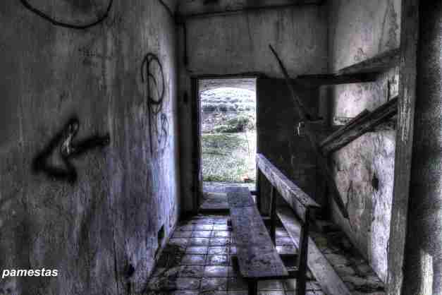 IMG_7931_2_3_tonemapped