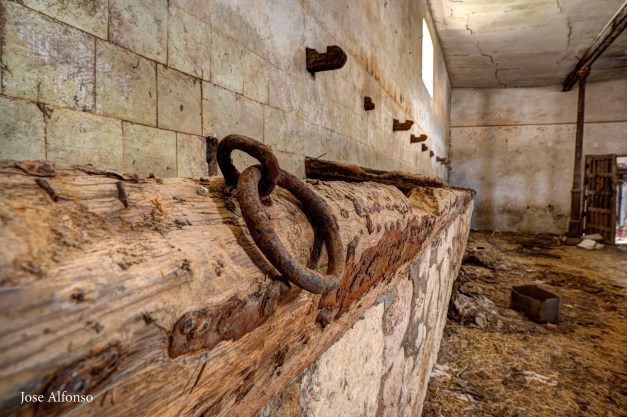 Ring. Abandoned stable