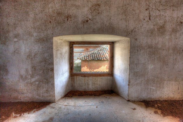 Window, abandoned building