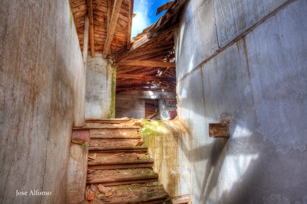 Roof collapsed. Abandoned building