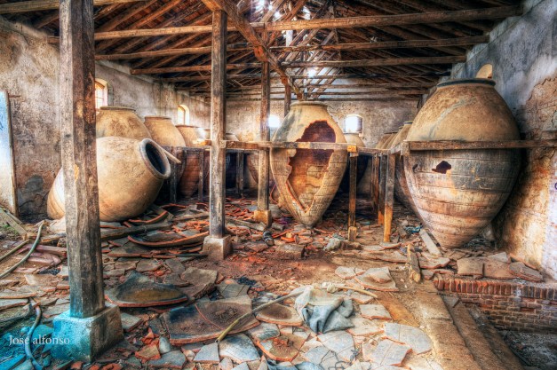 Cellar. Abandoned building