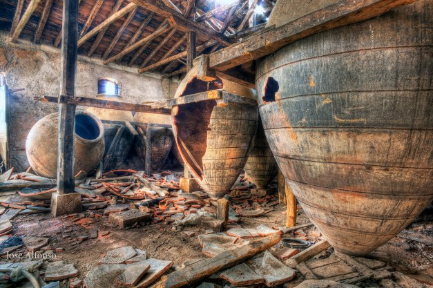 Cellar. Abandoned building