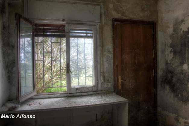 IMG_0974_5_6_tonemapped