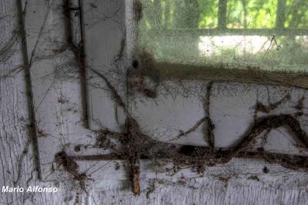 IMG_1029_30_31_tonemapped