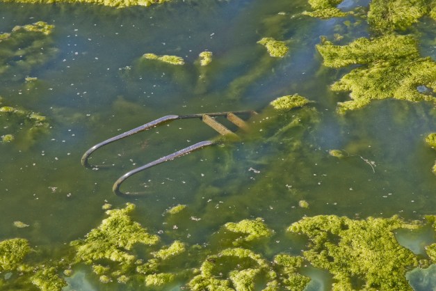 Pool. Abandoned water park