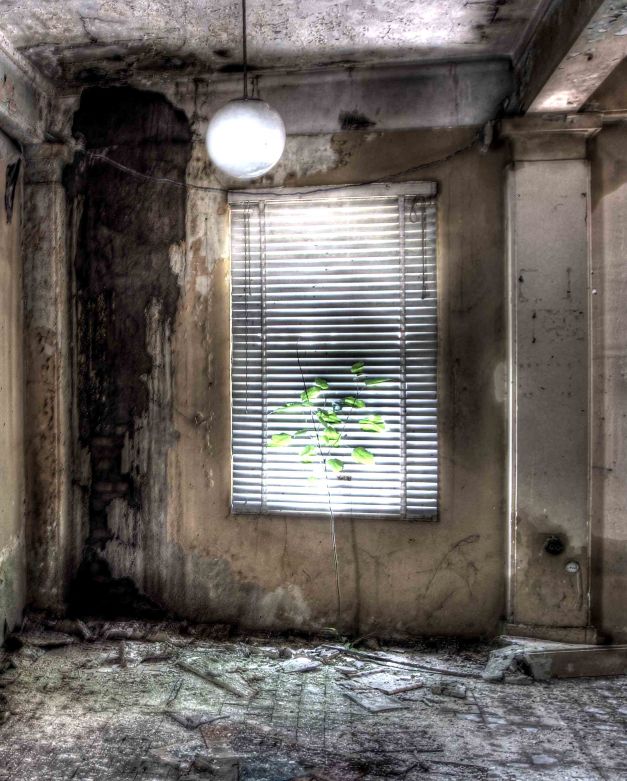 IMG_2035_6_7_tonemapped_aaa