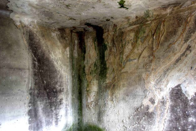 IMG_2104_5_6_tonemapped