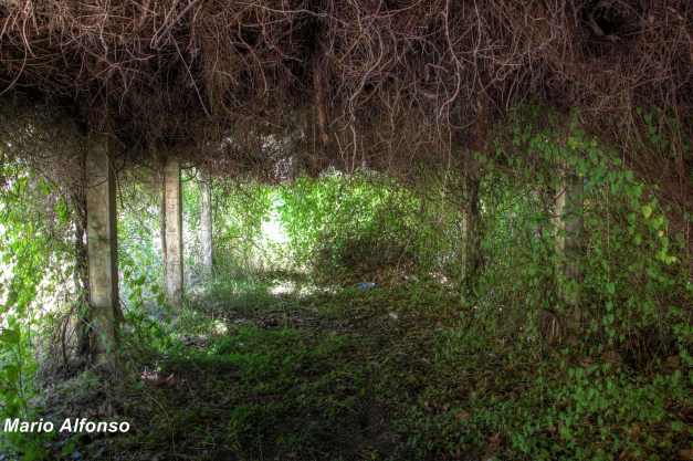 IMG_2709_10_11_tonemapped