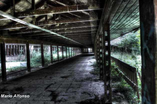 IMG_4010_1_2_tonemapped