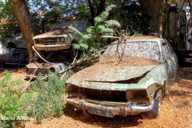 IMG_4953_4_5_tonemapped