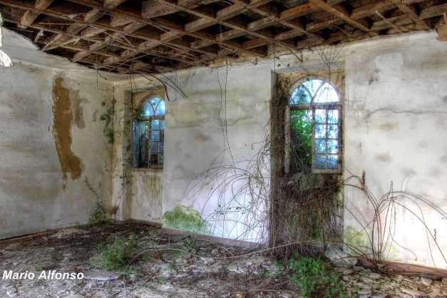 IMG_5230_1_2_tonemapped