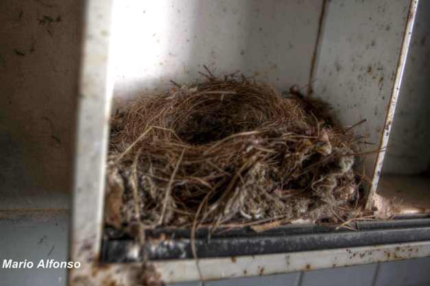 IMG_6251_2_3_tonemapped