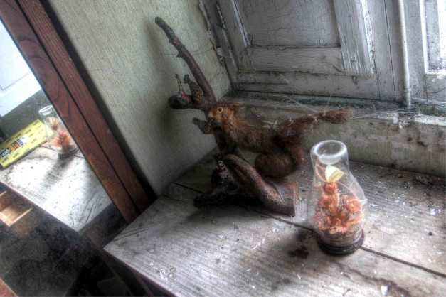 IMG_7135_6_7_tonemapped