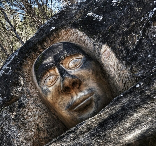 PICT_20150117_141750_1